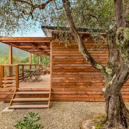 Glamping Degli Ulivi キャンプ場 *