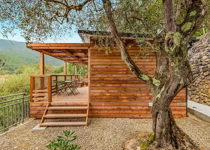 Glamping Degli Ulivi 营地 *